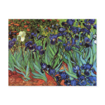 Van Gogh Irises Postcards