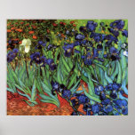 Van Gogh Irises Posters