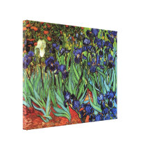 Van Gogh Irises, Vintage Post Impressionism Art Stretched Canvas Prints