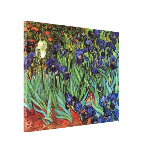 Van Gogh Irises, Vintage Post Impressionism Art Stretched Canvas Prints