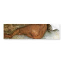 Van Gogh Nude Woman Reclining, from Back bumper stickers