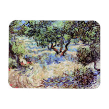 Van Gogh - Olive Grove With Bright Blue Sky Magnet