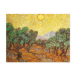 Van Gogh Olive Trees postcards