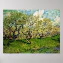 Van Gogh Orchard in Blossom posters
