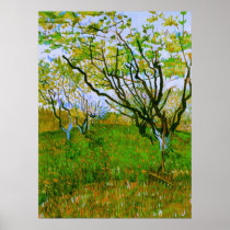Van Gogh Orchard in Blossom Posters