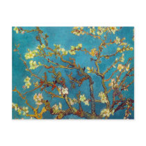 Van Gogh Post Card