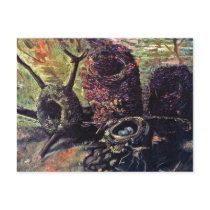 Van Gogh - Still Life With Birds Nests Post Card