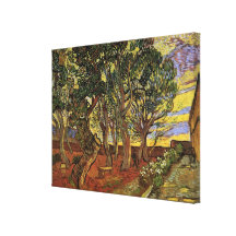 Van Gogh; The Garden of Saint Paul Hospital Canvas Print