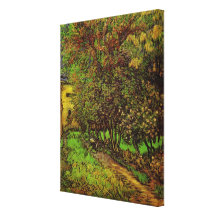 Van Gogh; The Garden of Saint Paul Hospital Canvas Print