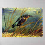 Van Gogh The Kingfisher Poster posters