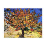 Van Gogh The Mulberry Tree Postcard