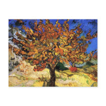 Van Gogh The Mulberry Tree Postcard