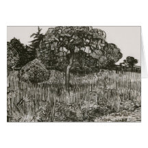 Van Gogh Weeping Tree on a Lawn Cards