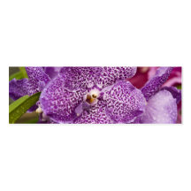Vanda Orchid Business Cards