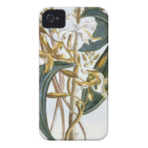 Vanilla pods, plate 65, from 'Collection Precieuse iPhone 4 Covers