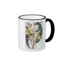 Vanilla pods, plate 65, from 'Collection Precieuse Mugs