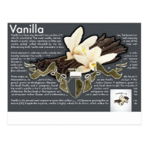 Vanilla Postcard Cartao Postal