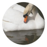 Vanity: Swan Mirror stickers