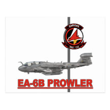 VAQ-134 Garudas Post Cards