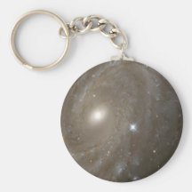 Variable Stars in a Distant Spiral Galaxy Key Chains