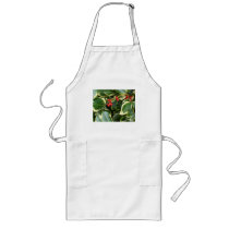 variegated holly apron