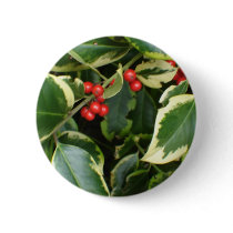 variegated holly pins