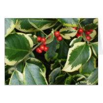 variegated holly greeting cards