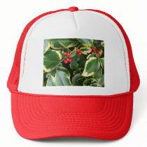variegated holly hat