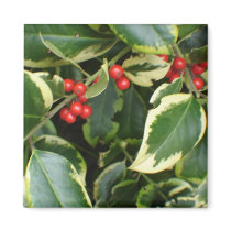 variegated holly refrigerator magnets