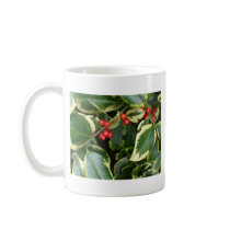 variegated holly mugs