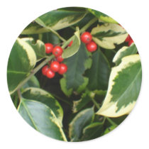 variegated holly round sticker