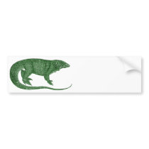 Variegated Lizard