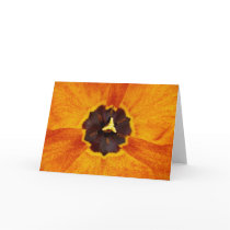 Variegated Tulip Note Card