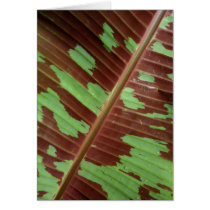 Varigated Banana Leaf Card