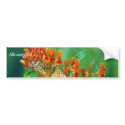 Varigated fritillary on Butterfly weed bumper stickers