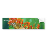 Varigated fritillary on Butterfly weed bumper stickers