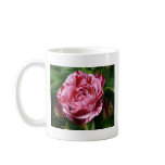 Varigated Pink and Red Rose Coffee Mugs
