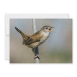Various Birds Personalized Invites