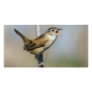 Various Birds Photo Cards