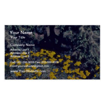 Various Desert Vegetation flowers Business Card Templates