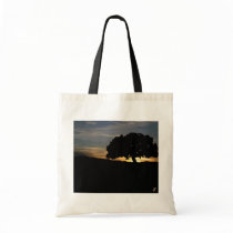 Various paintings canvas bags