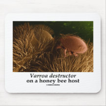 Varroa destructor On A Honey Bee Host Mousepad