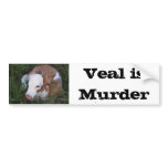 Veal Is Murder bumper sticker bumper stickers