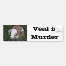 Veal Is Murder bumper sticker