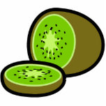 Vector kiwifruit photo sculptures