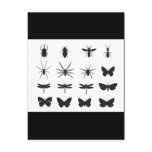 vectorvaco-09101607-insects-vector-large postcards