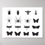vectorvaco-09101607-insects-vector-large posters