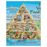 vegan-pyramid-800x600 flyers