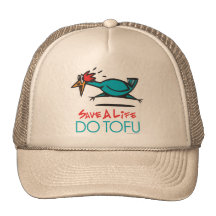 Vegan, Vegetarian Tofu Mesh Hat