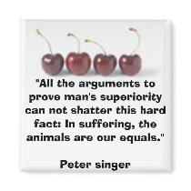 Vegetarian magnet